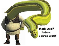 Dont Shrek yourself
